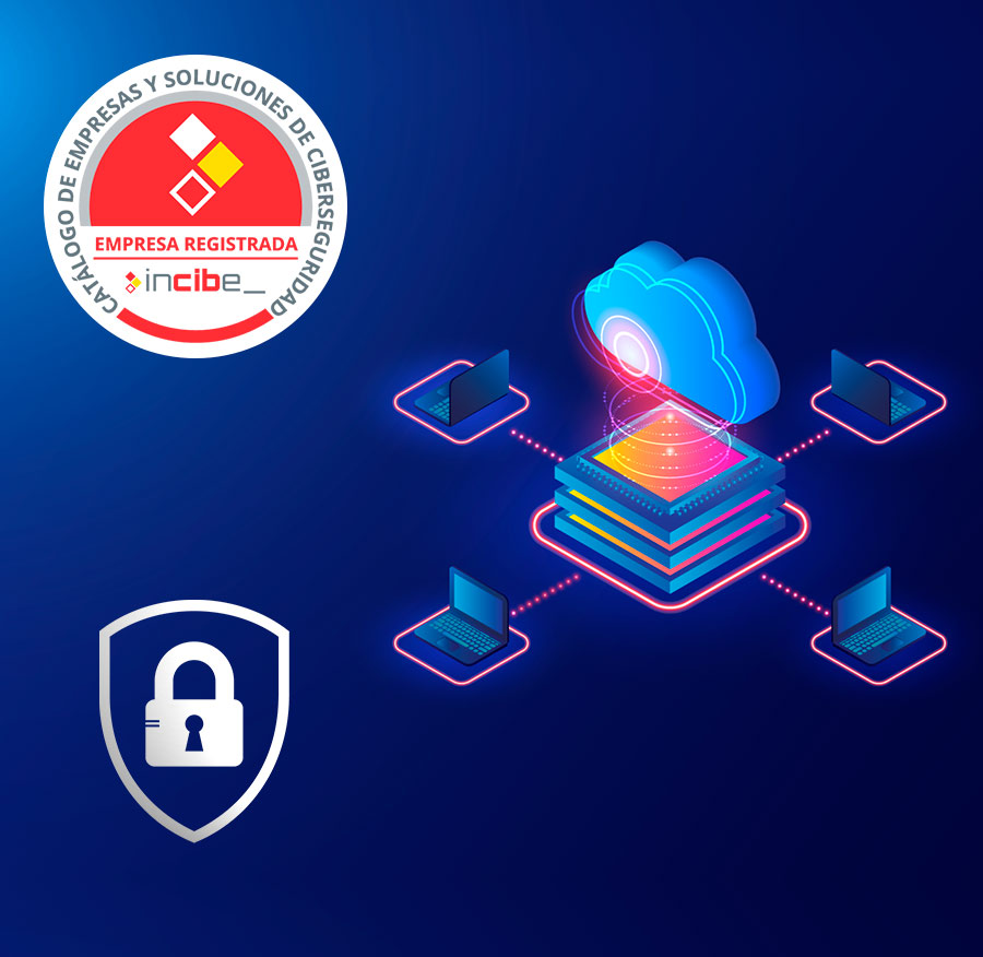 Ciber seguridad